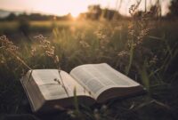 1769317628866-renungan-harian-katolik-1768526141007_169