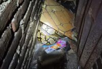 1769425620774-ular-piton-5-meter-berkeliaran-dalam-rumah-warga-di-makassar-1769403463812_169